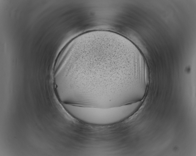 X0000094351436200711241905