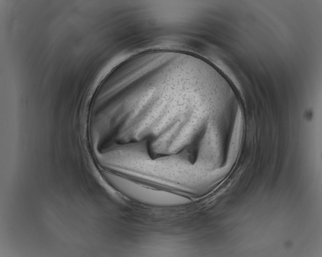 X0000094351437200711241905