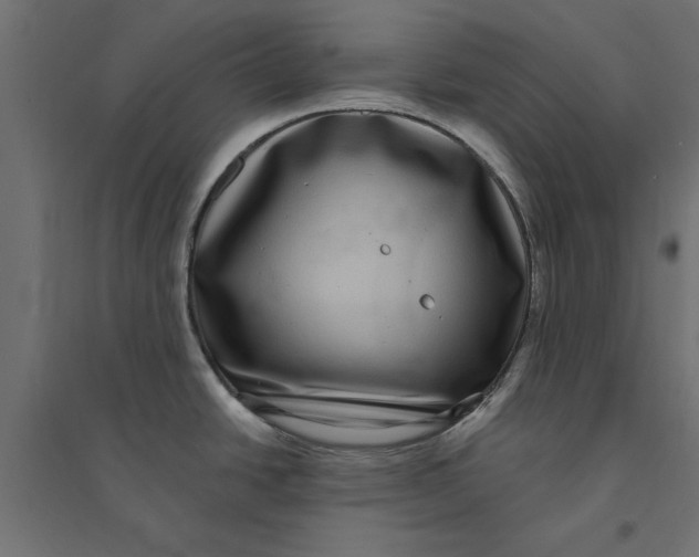 X0000094351438200711241905