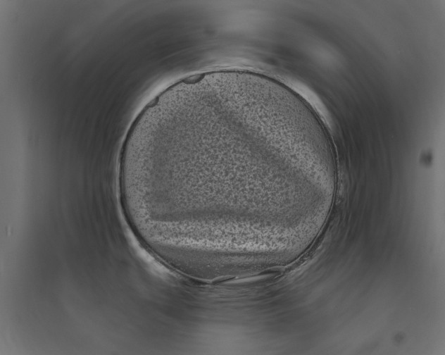 X0000094351439200711241905