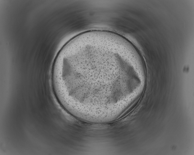 X0000094351440200711241905