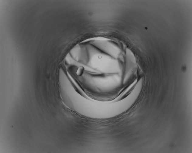 X0000094351441200711241904