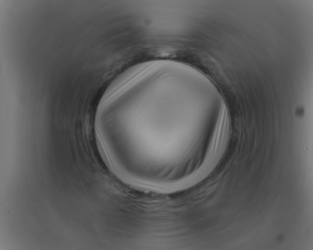 X0000094351442200711241904