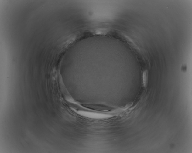 X0000094351443200711241904