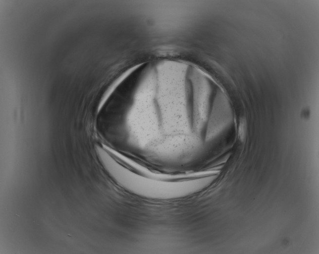 X0000094351444200711241904