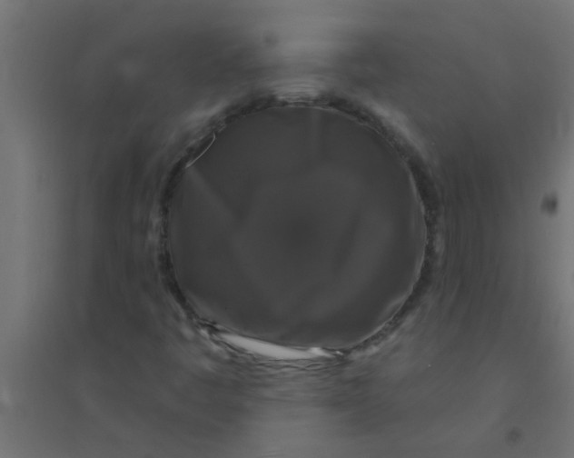 X0000094351445200711241904