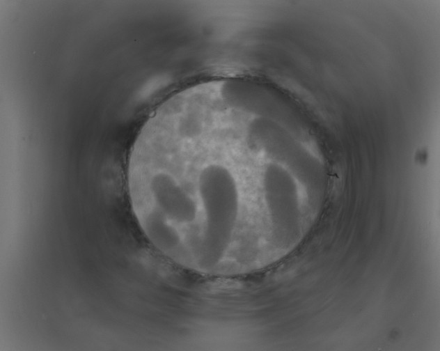 X0000094351446200711241904