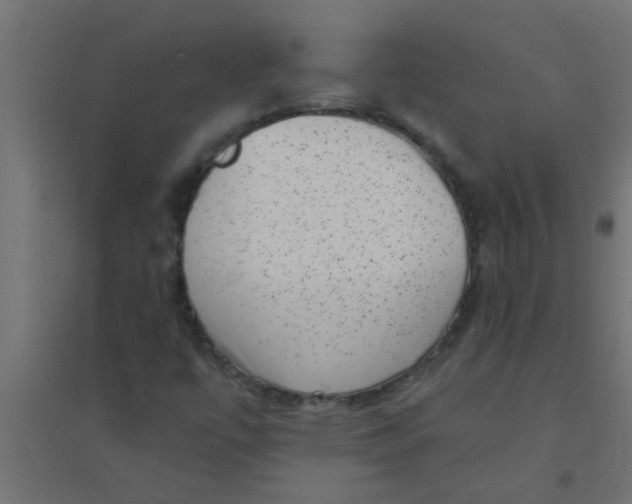 X0000094351447200711241904