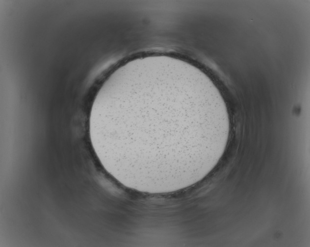 X0000094351448200711241904