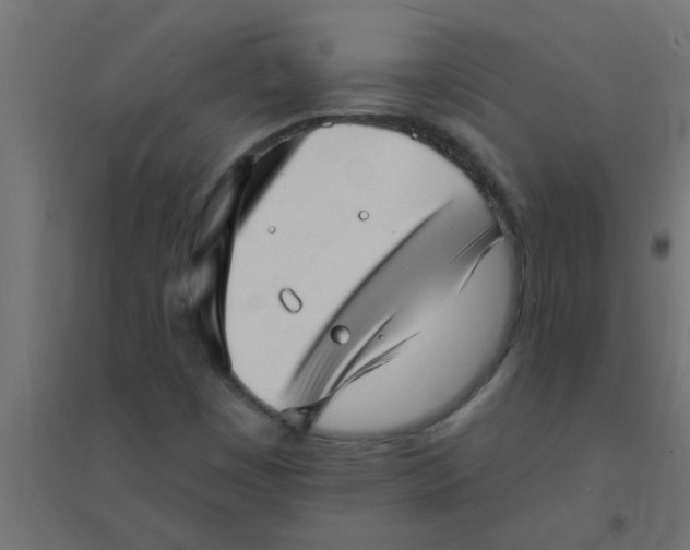 X0000094351449200711241904