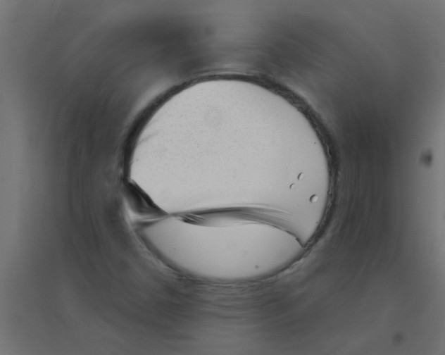 X0000094351450200711241904