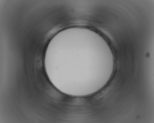 X0000094351451200711241904