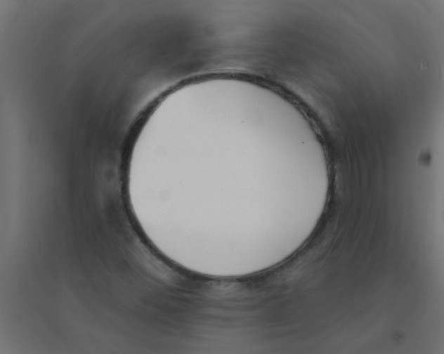 X0000094351452200711241904