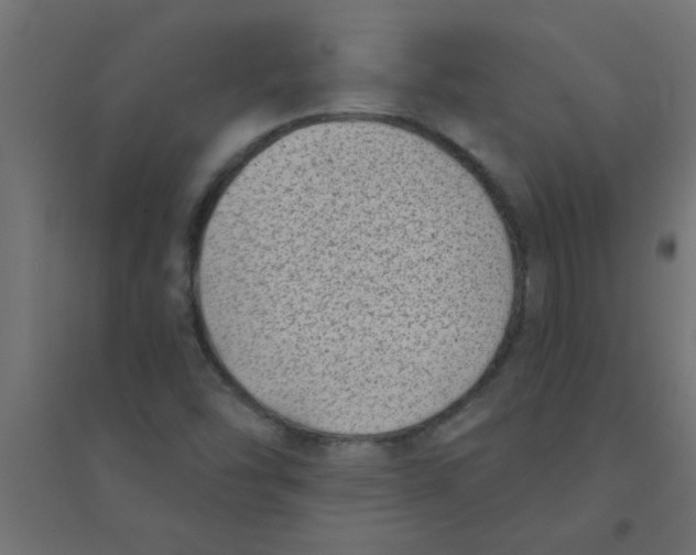 X0000094351454200711241904