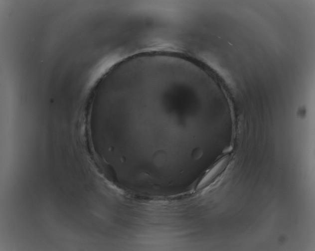 X0000094351455200711241904