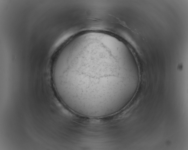 X0000094351456200711241904