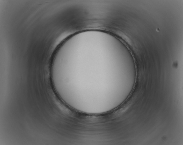 X0000094351458200711241904