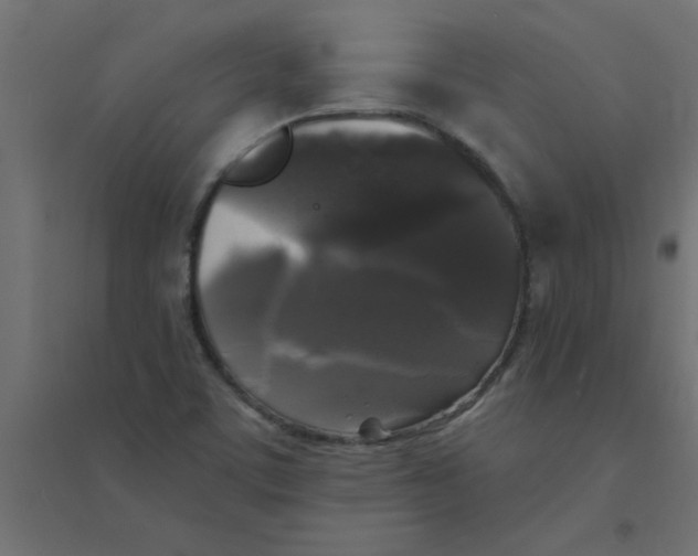 X0000094351459200711241904