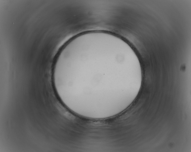 X0000094351460200711241904