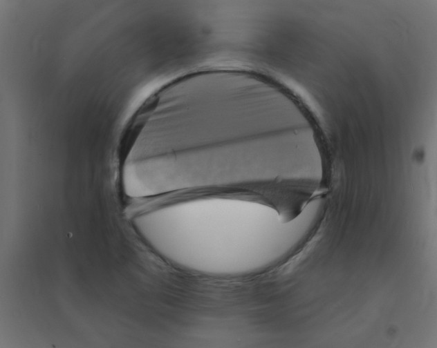 X0000094351461200711241904