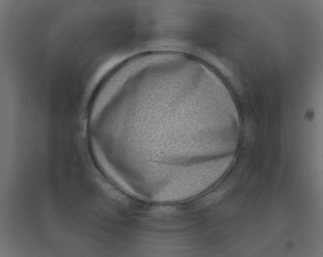 X0000094351462200711241904