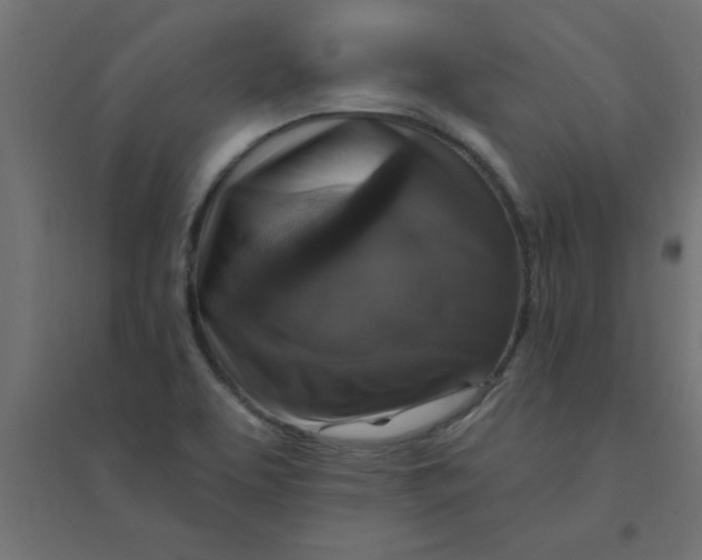 X0000094351463200711241904