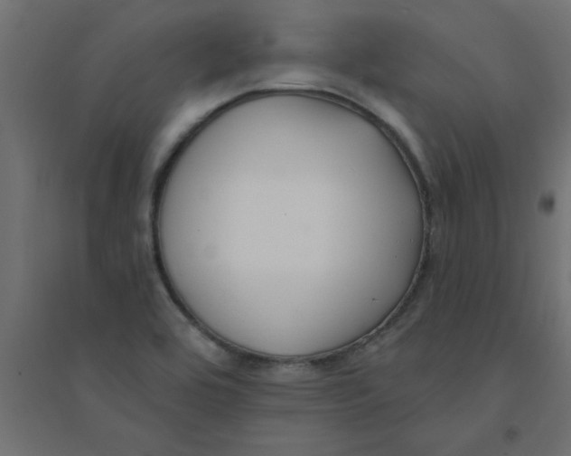 X0000094351464200711241904