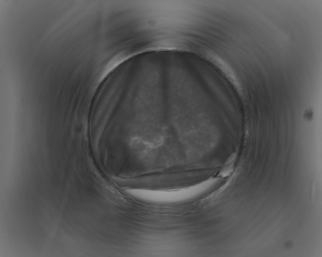 X0000094351465200711241904