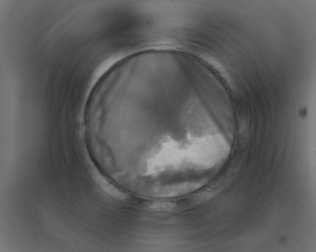 X0000094351466200711241904