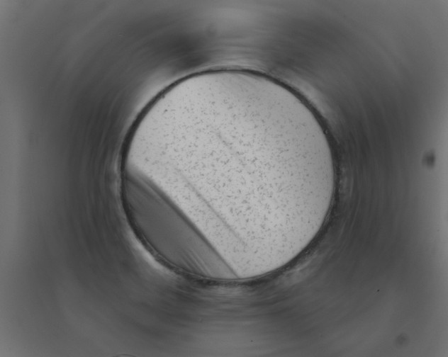 X0000094351468200711241904