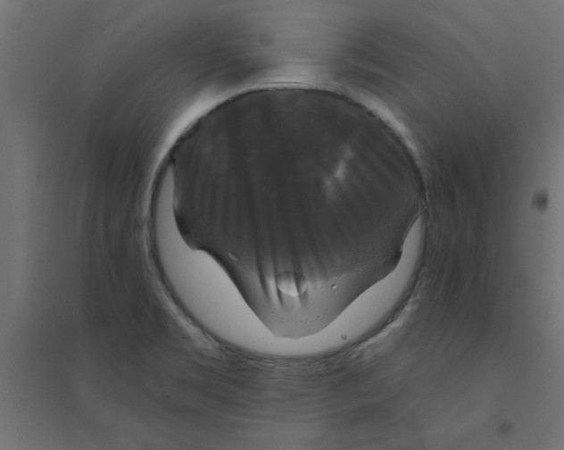 X0000094351469200711241904