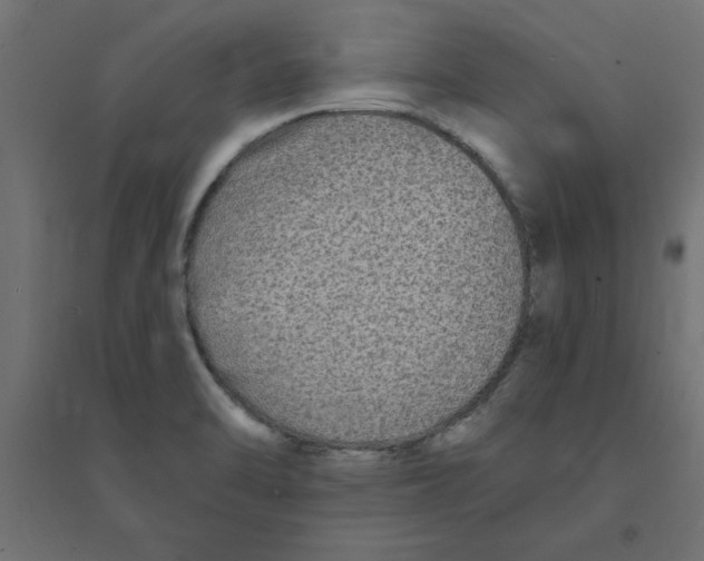 X0000094351470200711241904