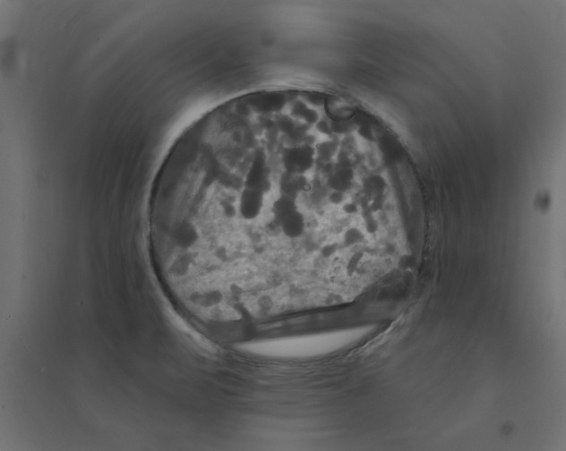 X0000094351471200711241904