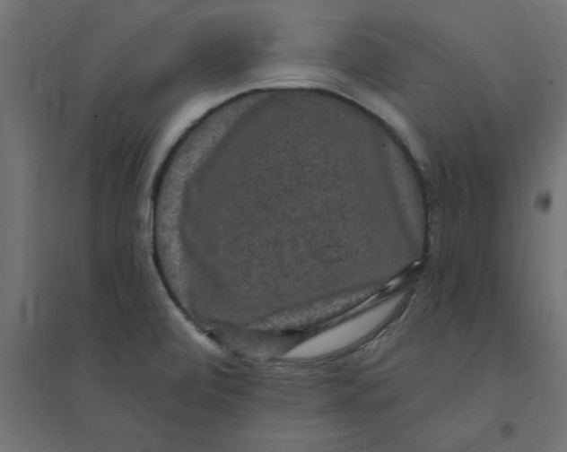 X0000094351472200711241904