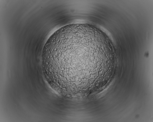 X0000094351473200711241904