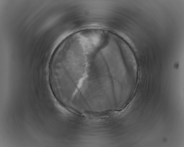 X0000094351474200711241904