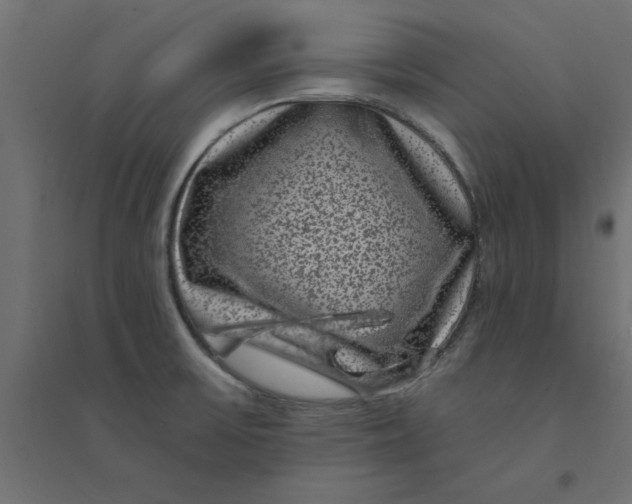 X0000094351475200711241904