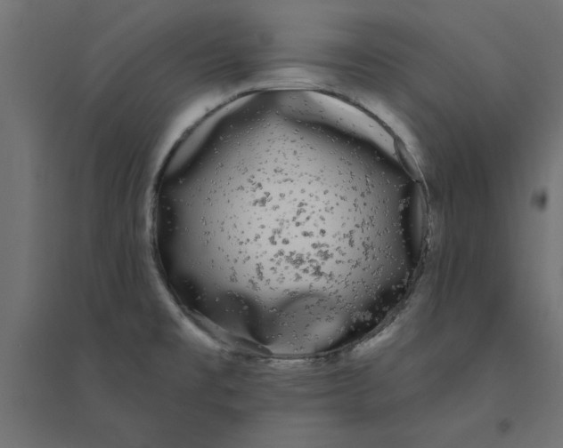 X0000094351477200711241904