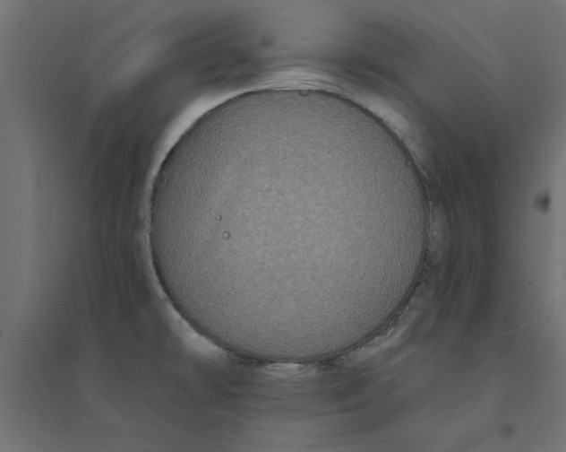 X0000094351478200711241904