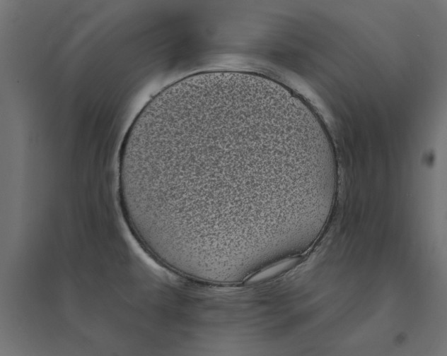 X0000094351479200711241904