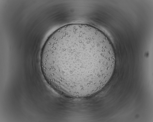 X0000094351480200711241904