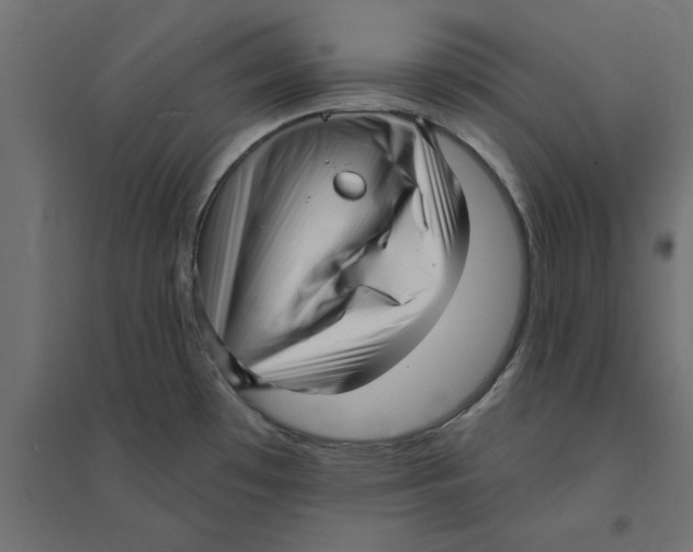 X0000094351481200711241903