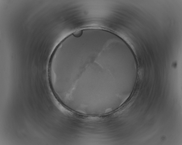 X0000094351482200711241903