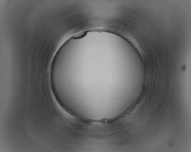 X0000094351483200711241903