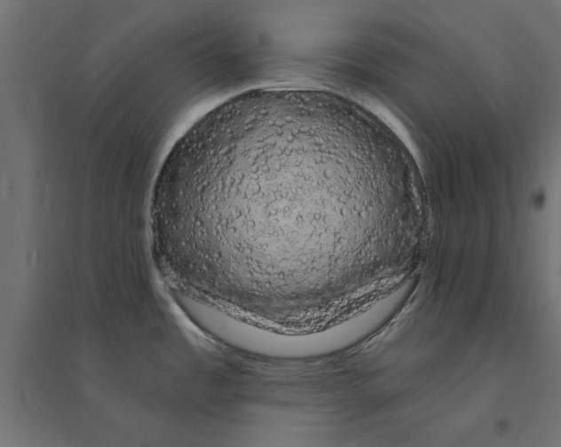 X0000094351485200711241903