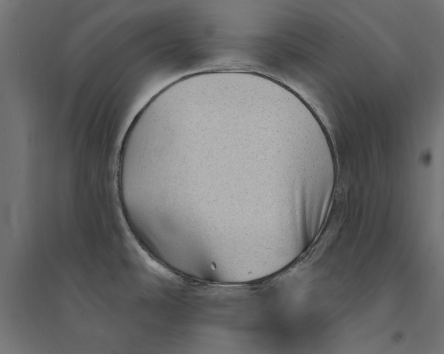 X0000094351486200711241903