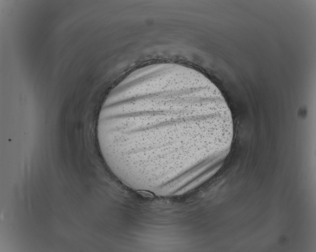 X0000094351489200711241903