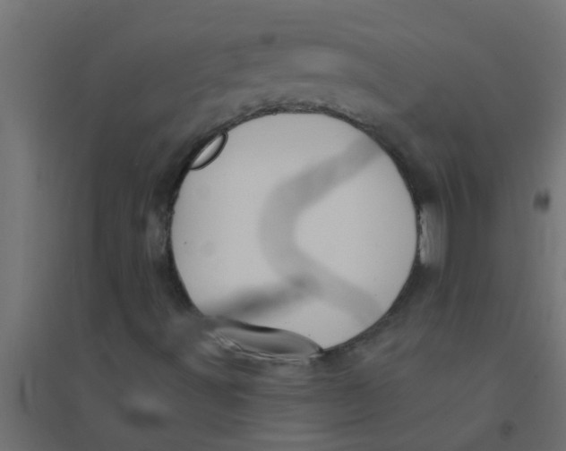 X0000094351491200711241903