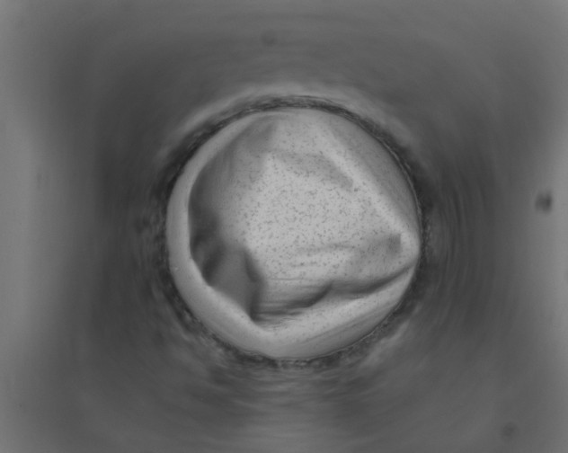 X0000094351494200711241903