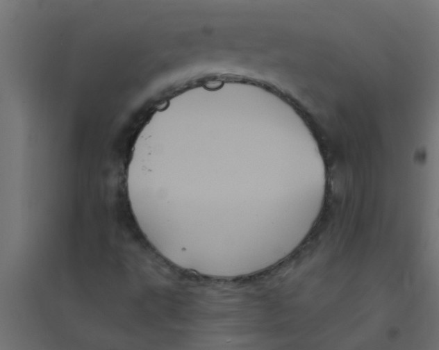 X0000094351495200711241903